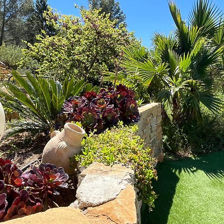 Villa Avec Jacuzzi Sur Les Hauteurs De La Ciotat Ceyreste Exterior photo